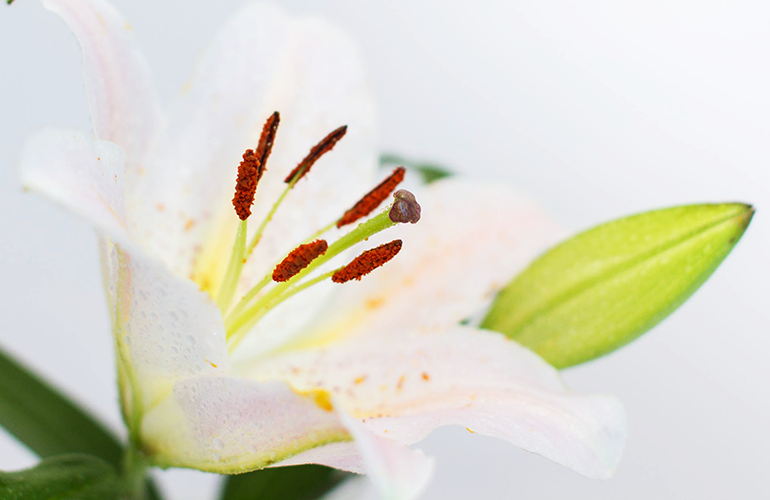 遺品整理サービス